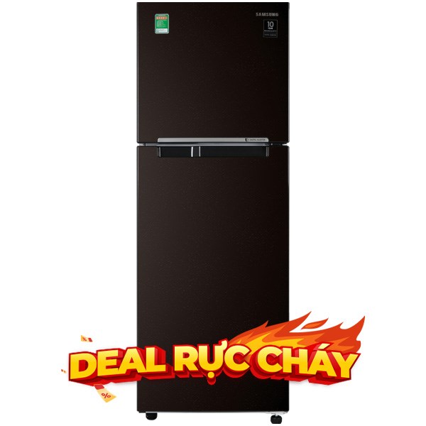 Tủ lạnh Samsung Inverter 236 lít RT22M4032BY/SV